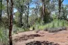 25 Dingo Gully Road, Grevillia, NSW 2474-Image