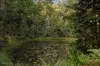 25 Houghtons Road, Landers Shoot, Qld 4555-Image