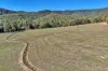 25 Jones Road, Tatong, Vic 3673-Image