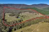 25 Jones Road, Tatong, Vic 3673-Image