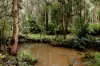 25 Kangaroo Close, Greenbank, Qld 4124-Image