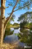25 Springfield Park Road, Northdown, Tas 7307-Image
