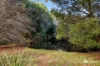 25 Springfield Park Road, Northdown, Tas 7307-Image