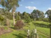 250 Gellibrand River Road, Carlisle River, Vic 3239-Image