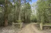 250 Hastings Bay Esplanade, Hastings, Tas 7109-Image