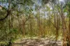 2503 Anderleigh Road, Kia Ora, Qld 4570-Image