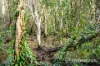 2503 Anderleigh Road, Kia Ora, Qld 4570-Image