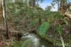 251 Gordons Bridge Road, Kinglake, Vic 3763-Image
