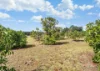 251 Haynes Kite Millar Road, Blackbutt, Qld 4314-Image