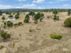 251 Haynes Kite Millar Road, Blackbutt, Qld 4314-Image