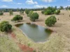 251 Haynes Kite Millar Road, Blackbutt, Qld 4314-Image