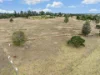251 Haynes Kite Millar Road, Blackbutt, Qld 4314-Image