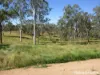 252 Rickards Road, Kolonga, Qld 4671-Image