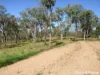 252 Rickards Road, Kolonga, Qld 4671-Image