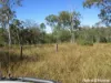 252 Rickards Road, Kolonga, Qld 4671-Image