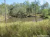 252 Rickards Road, Kolonga, Qld 4671-Image