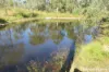 252 Rickards Road, Kolonga, Qld 4671-Image