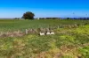 2538 South West Rocks Road, Kinchela, NSW 2440-Image