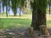 2556 Bulga Road, Bobin, NSW 2429-Image
