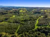 256 Kirklands Lane, Fernleigh, NSW 2479