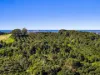 256 Kirklands Lane, Fernleigh, NSW 2479-Image