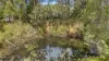256 Warcons Road, Cawarral, Qld 4702-Image