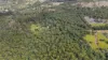 256 Warcons Road, Cawarral, Qld 4702-Image