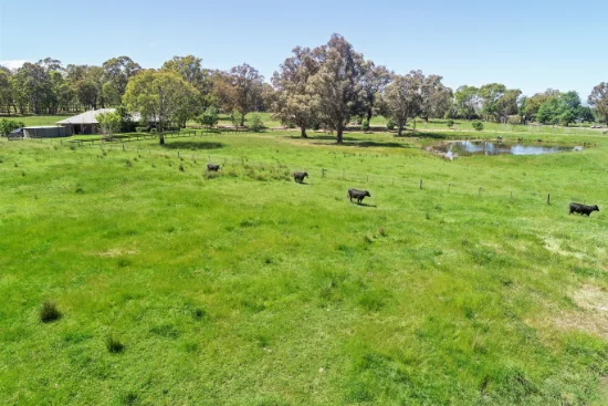 257 Blue Range Road, Bridge Creek, Vic 3723