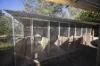 2578 Wallanbah Road, Firefly, NSW 2429-Image