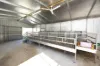 2578 Wallanbah Road, Firefly, NSW 2429-Image