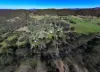 2578 Wallanbah Road, Firefly, NSW 2429-Image