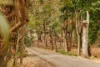 258 Pullenvale Road, Pullenvale, Qld 4069-Image