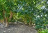 26-30 Glenco Drive, Craignish, Qld 4655-Image