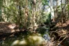 26 Bazzo Road, Pinbarren, Qld 4568-Image