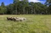 26 Blaser Road, Mylor, SA 5153-Image