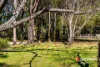26 Kundabung Street, Belimbla Park, NSW 2570-Image