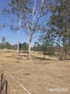 26 Racecourse Road, Nanango, Qld 4615-Image