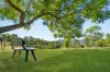 263 Darlington Range Road, Canungra, Qld 4275-Image