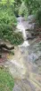 263 Darlington Range Road, Canungra, Qld 4275-Image