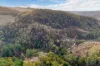 263 Raymonds Road, Basket Range, SA 5138-Image