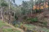 263 Raymonds Road, Basket Range, SA 5138-Image