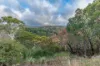 263 Raymonds Road, Basket Range, SA 5138-Image
