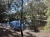 264 Back Creek Road, Nethercote, NSW 2549-Image