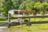 264 Back Creek Road, Nethercote, NSW 2549-Image