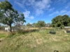 2643 Gin Gin Road, South Kolan, Qld 4670-Image