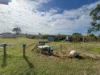 2643 Gin Gin Road, South Kolan, Qld 4670-Image