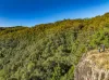 265 Newton Drive, Nimbin, NSW 2480-Image