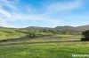 2654 Glendonbrook Road, Gresford, NSW 2311-Image