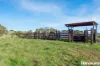 2654 Glendonbrook Road, Gresford, NSW 2311-Image