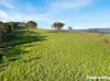 2654 Glendonbrook Road, Gresford, NSW 2311-Image